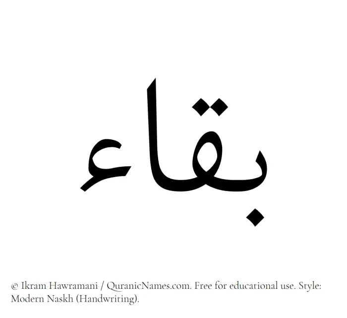 The Muslim name Baqa written in naskh script
