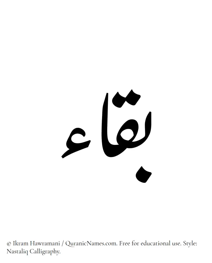 The Muslim name word Baqa written in Nastaliq calligraphic script