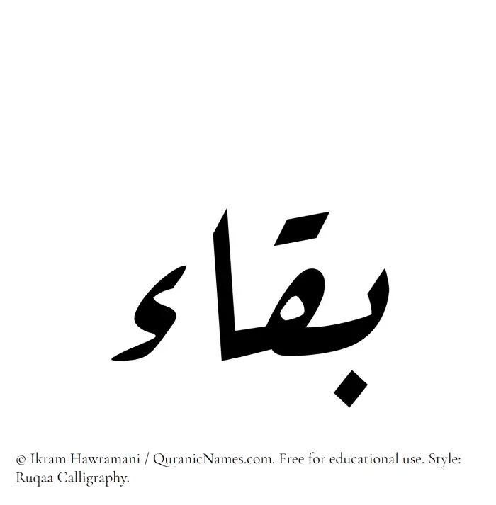 The Muslim name Baqa written in Ruqaa calligraphic script