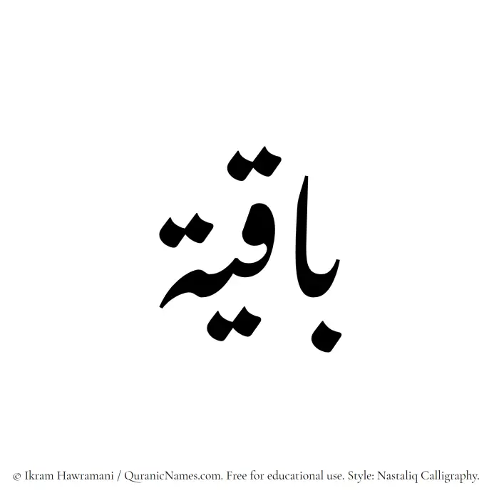 The Muslim name word Baqiya written in Nastaliq calligraphic script