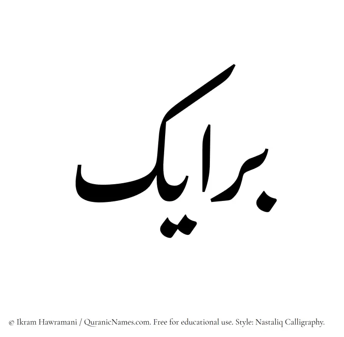 The Muslim name word Barayek written in Nastaliq calligraphic script
