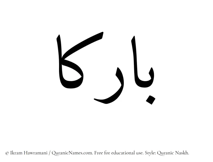 The Muslim name Barikaa written in Quranic naskh script