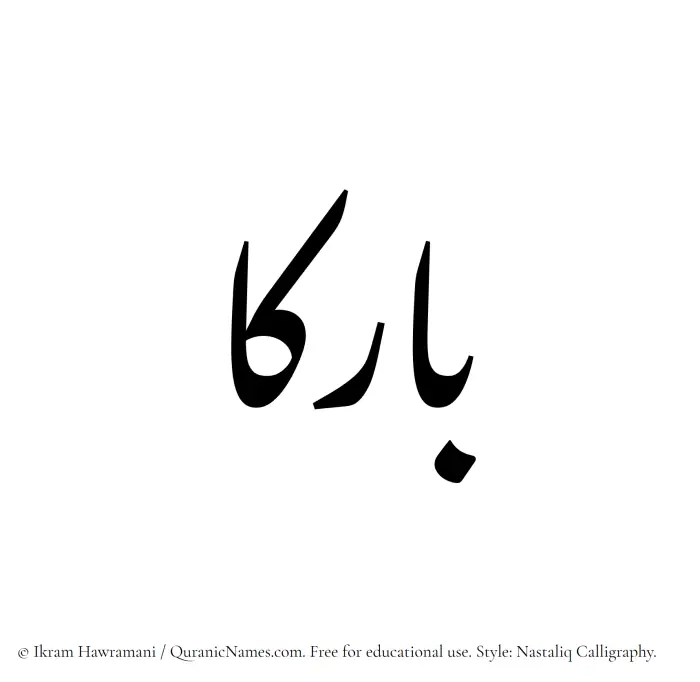 The Muslim name word Barikaa written in Nastaliq calligraphic script