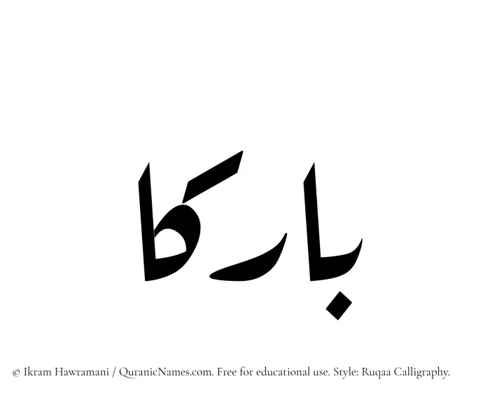 The Muslim name Barikaa written in Ruqaa calligraphic script