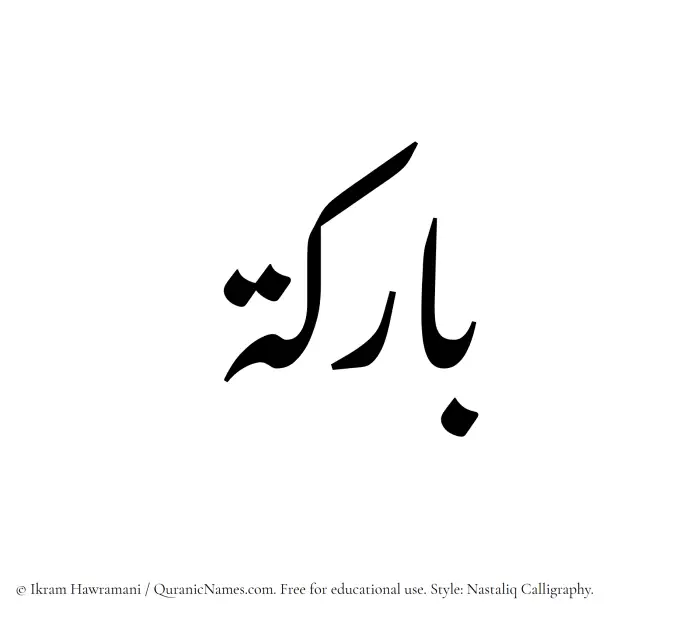 The Muslim name word Barikah written in Nastaliq calligraphic script