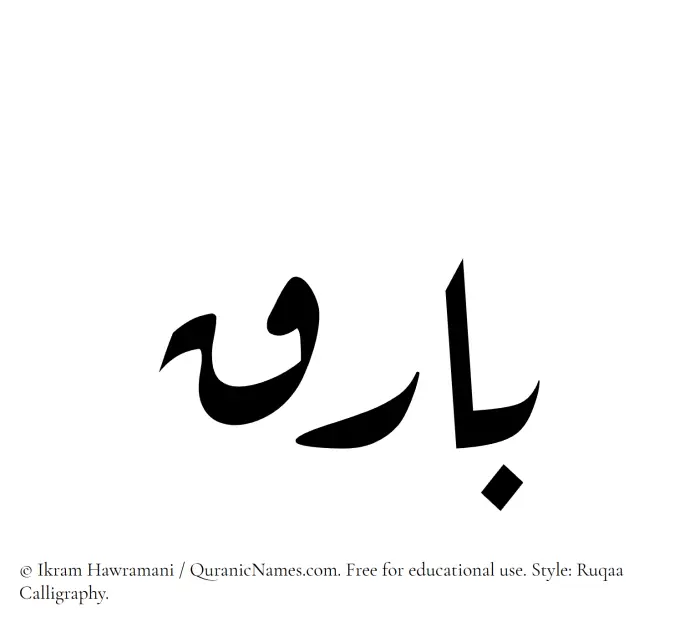 The Muslim name Bariq written in Ruqaa calligraphic script