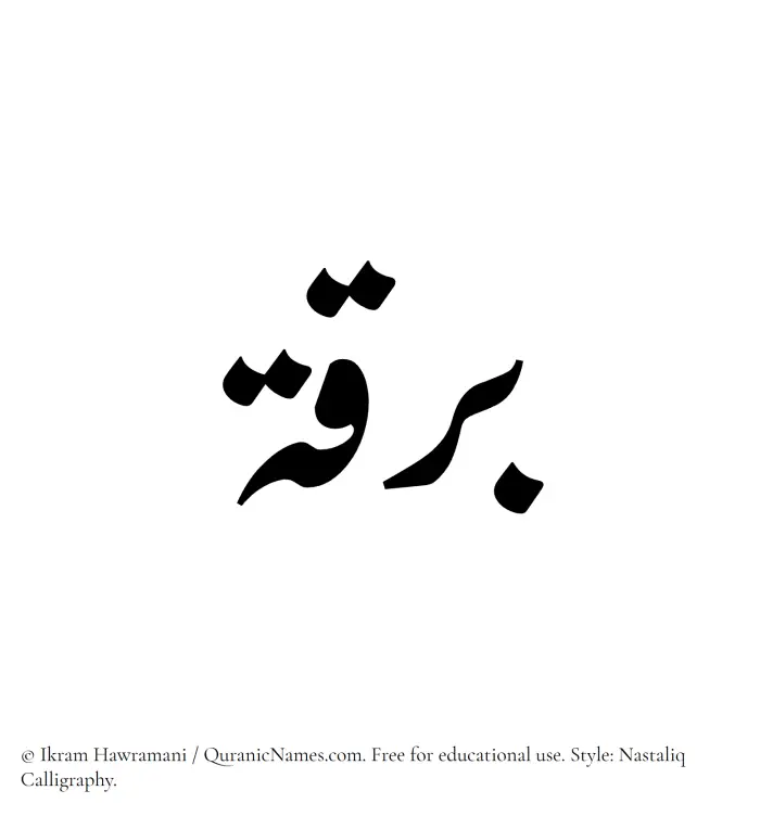 The Muslim name word Barqah written in Nastaliq calligraphic script