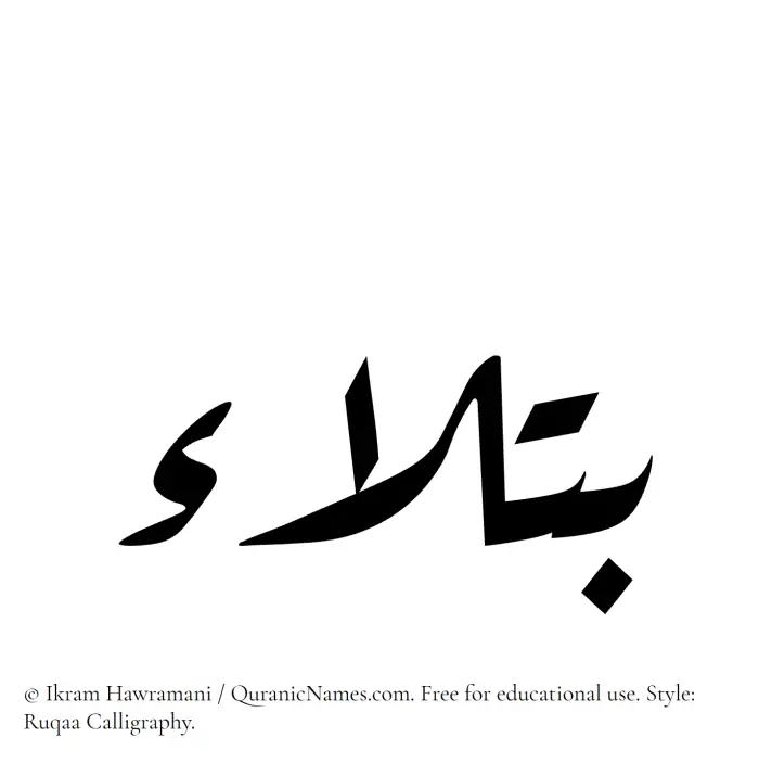 The Muslim name Batlaa written in Ruqaa calligraphic script