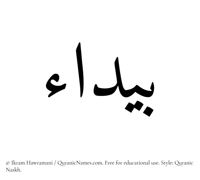 The Muslim name Baydaa written in Quranic naskh script