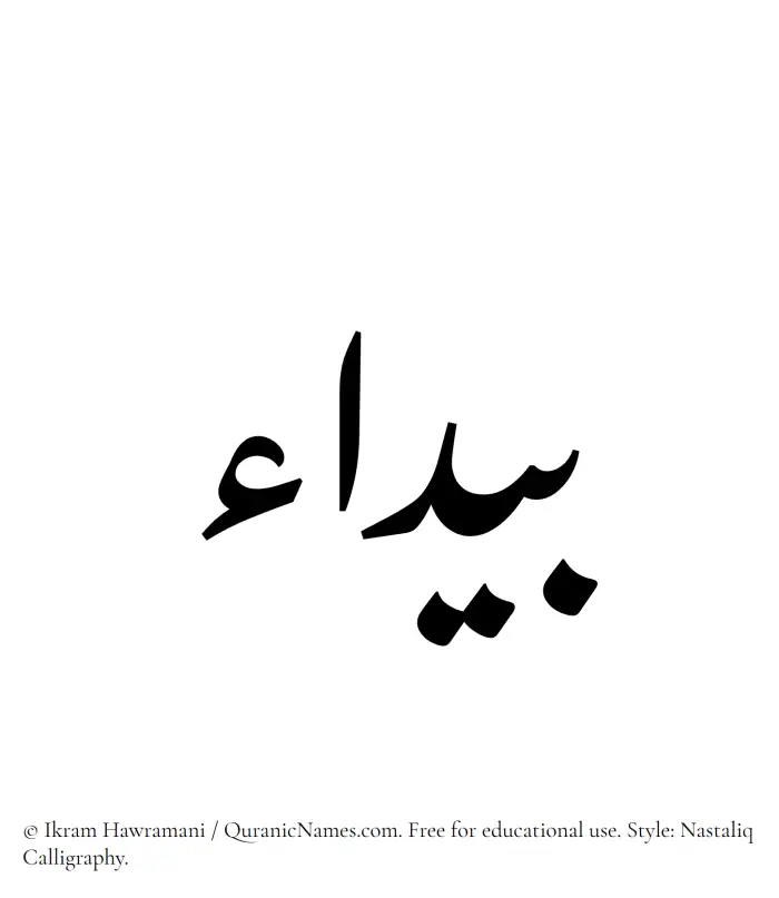 The Muslim name word Baydaa written in Nastaliq calligraphic script