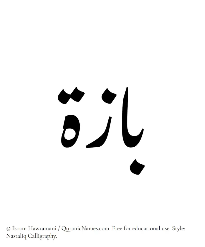 The Muslim name word Baza written in Nastaliq calligraphic script