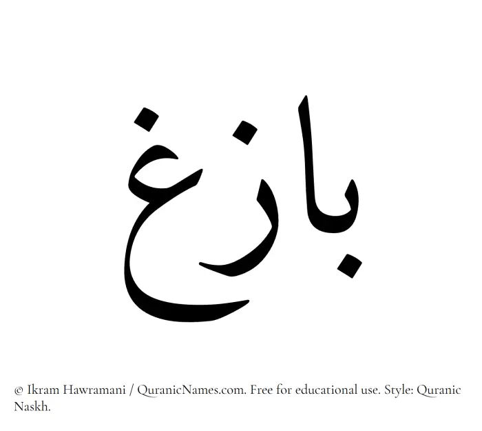 The Muslim name Bazigh written in Quranic naskh script
