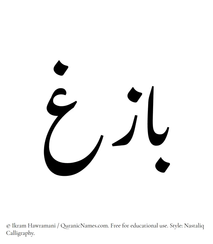 The Muslim name word Bazigh written in Nastaliq calligraphic script
