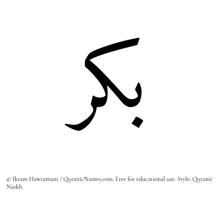 The Muslim name Bikr written in Quranic naskh script