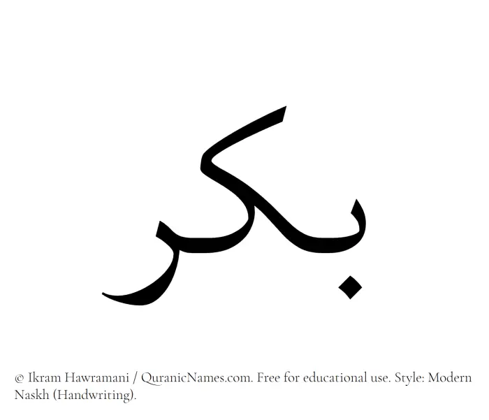 The Muslim name Bikr written in naskh script