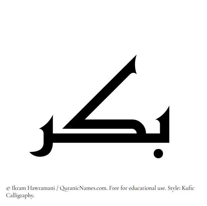 The Muslim name Bikr written in Kufi/Kufic calligraphic script
