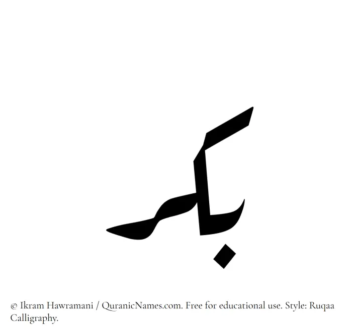 The Muslim name Bikr written in Ruqaa calligraphic script
