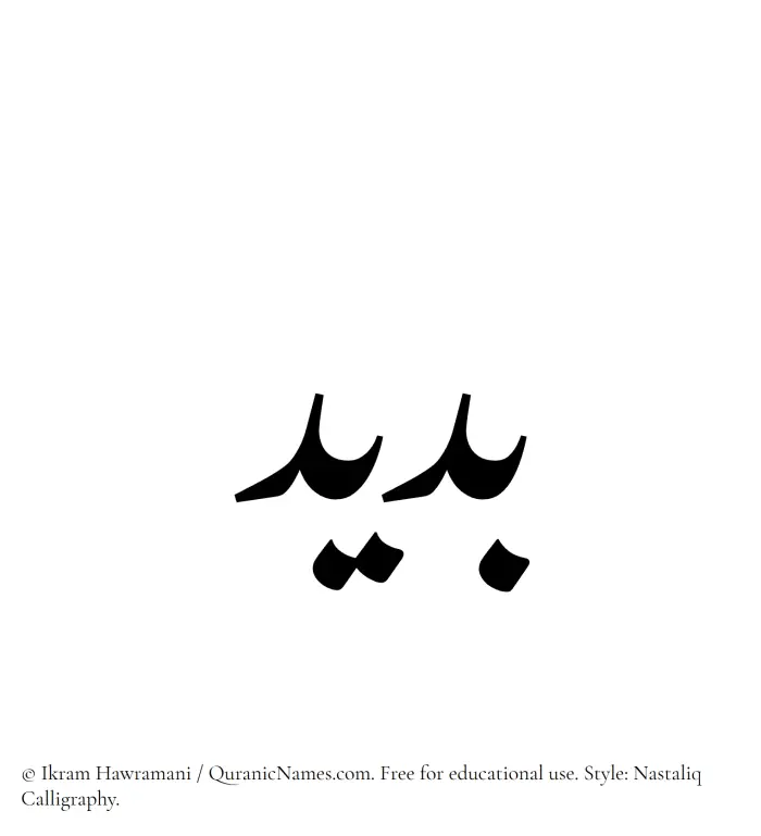 The Muslim name word Budaid written in Nastaliq calligraphic script