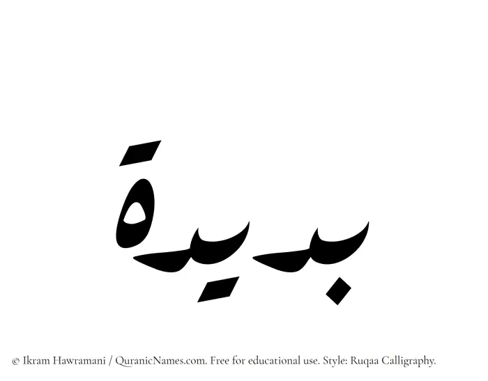 The Muslim name Budaida written in Ruqaa calligraphic script
