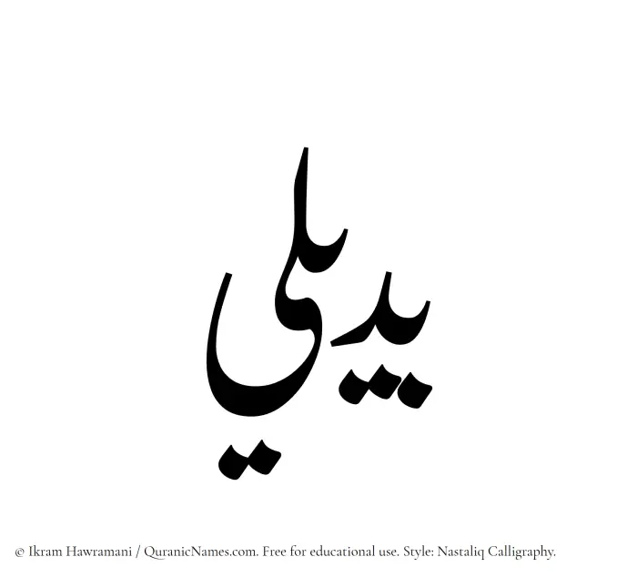 The Muslim name word Budaili written in Nastaliq calligraphic script