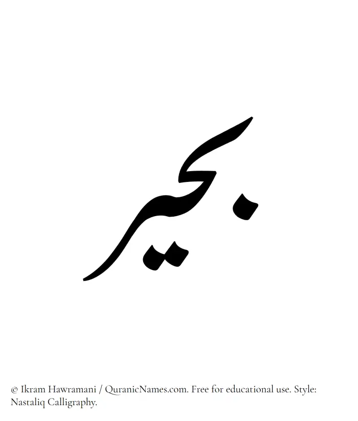 The Muslim name word Buhair written in Nastaliq calligraphic script