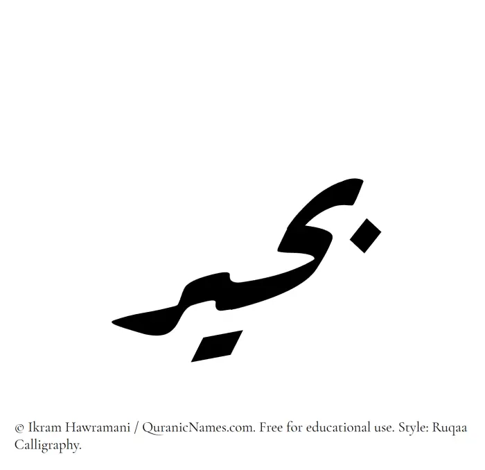 The Muslim name Buhair written in Ruqaa calligraphic script