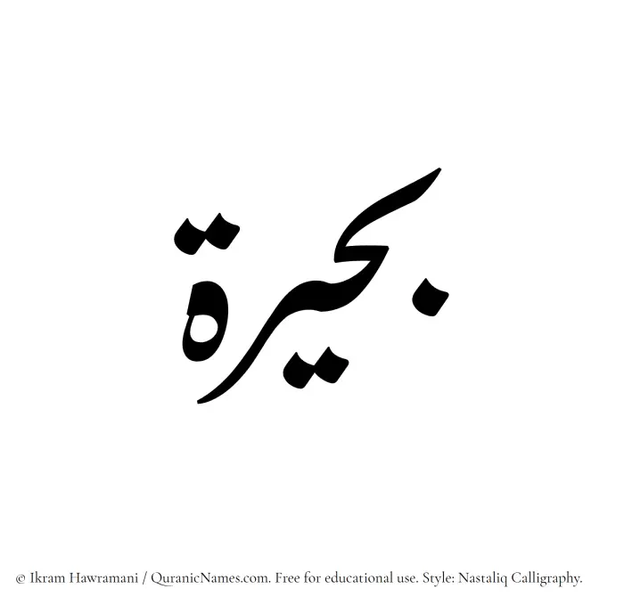 The Muslim name word Buhairah written in Nastaliq calligraphic script
