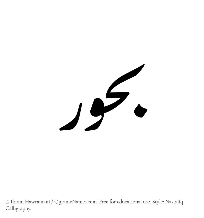 The Muslim name word Buhur written in Nastaliq calligraphic script