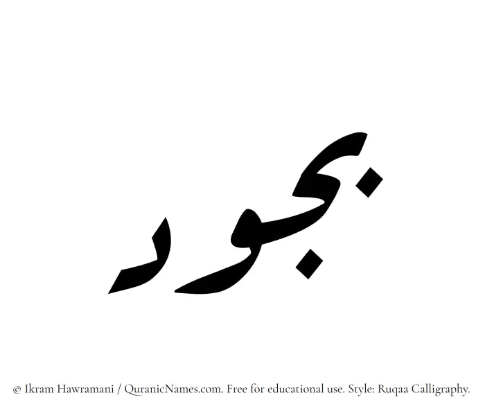 The Muslim name Bujud written in Ruqaa calligraphic script