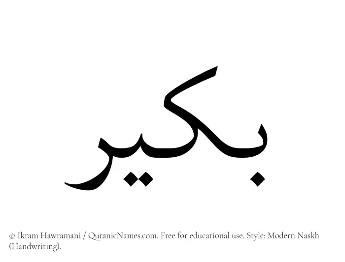The Muslim name Bukair written in naskh script