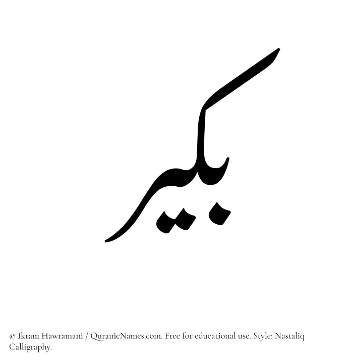 The Muslim name word Bukair written in Nastaliq calligraphic script