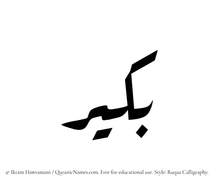The Muslim name Bukair written in Ruqaa calligraphic script