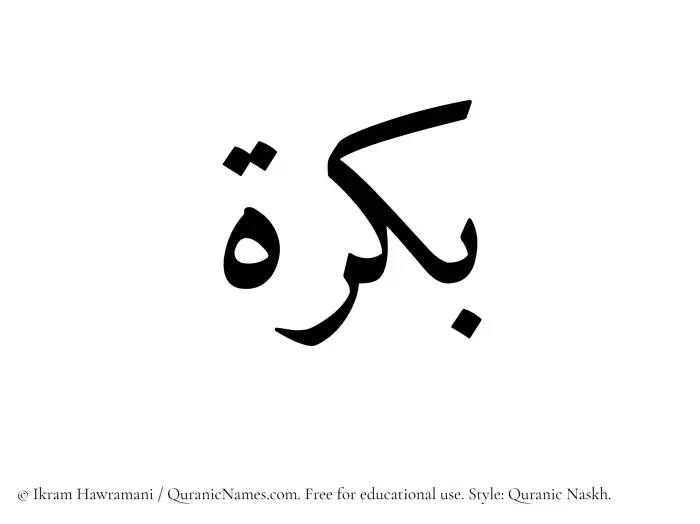 The Muslim name Bukrah written in Quranic naskh script