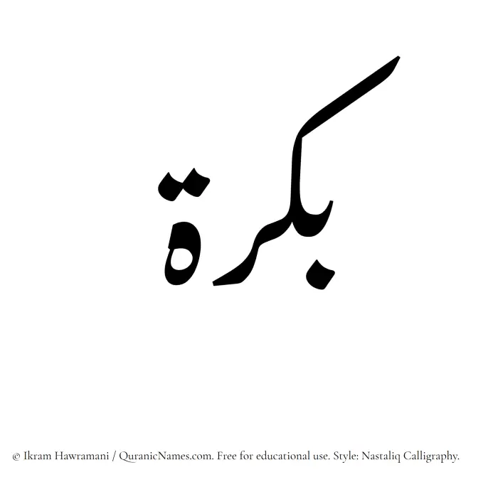 The Muslim name word Bukrah written in Nastaliq calligraphic script