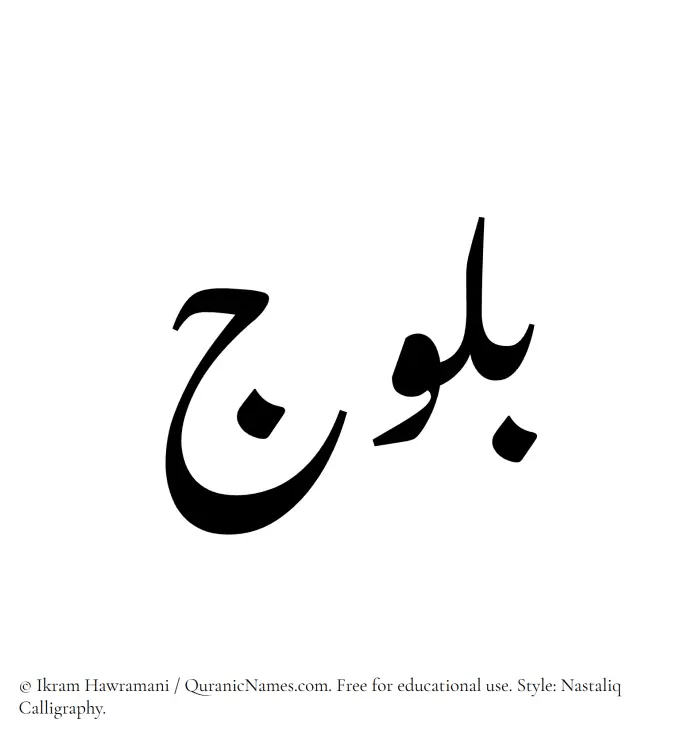The Muslim name word Bulooj written in Nastaliq calligraphic script
