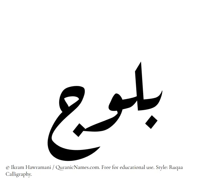 The Muslim name Bulooj written in Ruqaa calligraphic script