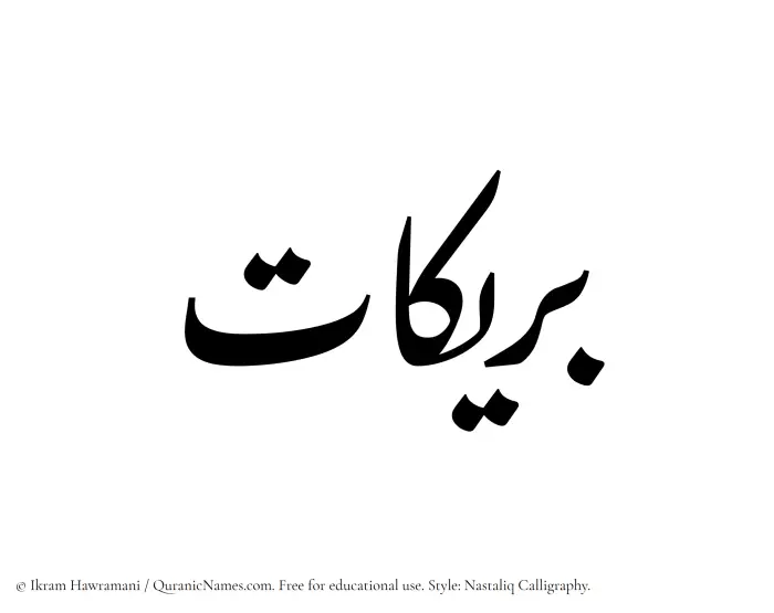 The Muslim name word Buraikaat written in Nastaliq calligraphic script