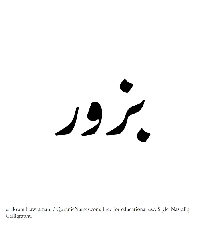 The Muslim name word Buzur written in Nastaliq calligraphic script