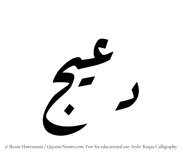 The Muslim name Daeej written in Ruqaa calligraphic script