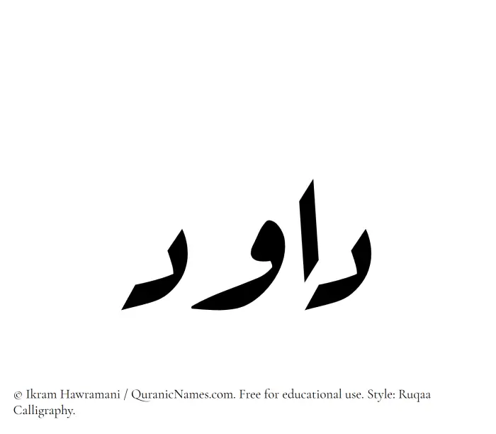 The Muslim name Davood written in Ruqaa calligraphic script