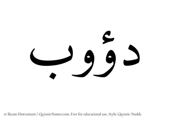 The Muslim name Dawub written in Quranic naskh script