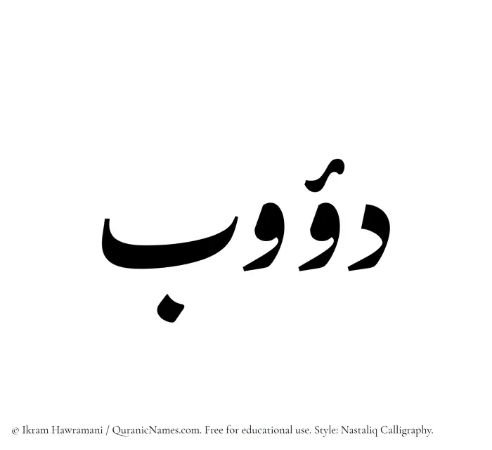 The Muslim name word Dawub written in Nastaliq calligraphic script