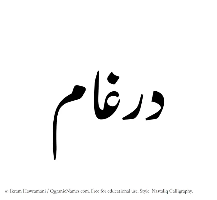 The Muslim name word Dirgham written in Nastaliq calligraphic script