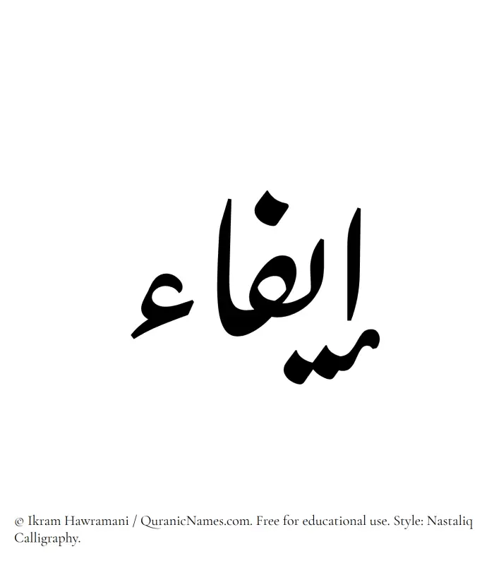 The Muslim name word Eifa written in Nastaliq calligraphic script