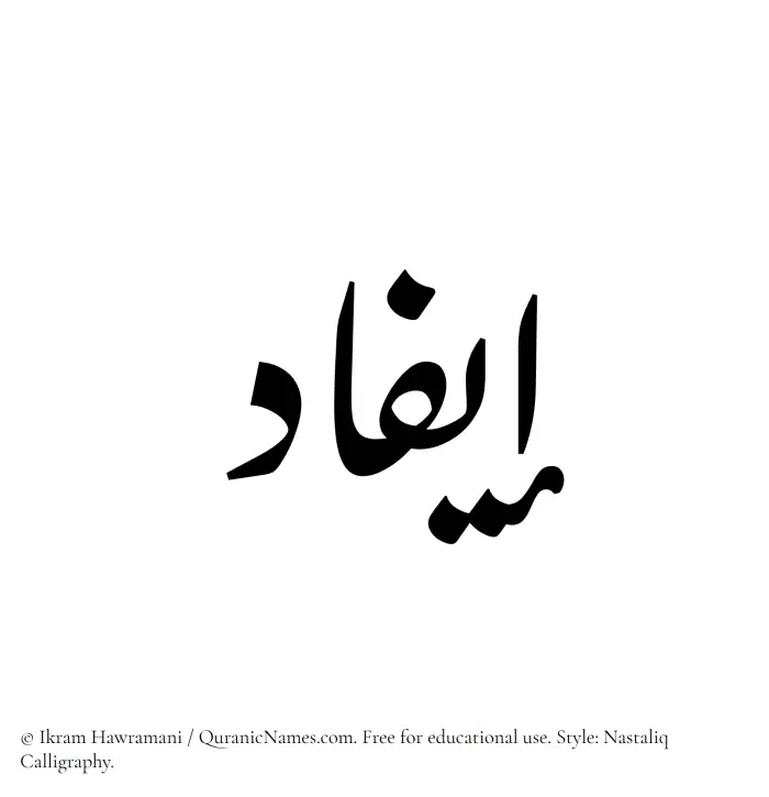 The Muslim name word Eifad written in Nastaliq calligraphic script