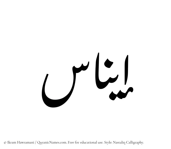 The Muslim name word Einas written in Nastaliq calligraphic script