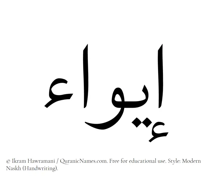 The Muslim name Eiwa written in naskh script