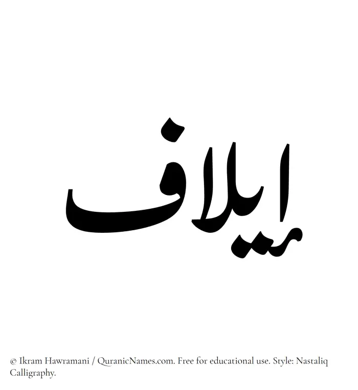 The Muslim name word Elaf written in Nastaliq calligraphic script