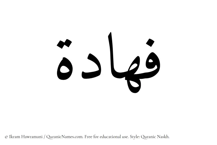 The Muslim name Fahadah written in Quranic naskh script