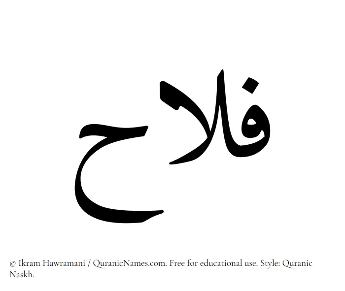 The Muslim name Falah written in Quranic naskh script